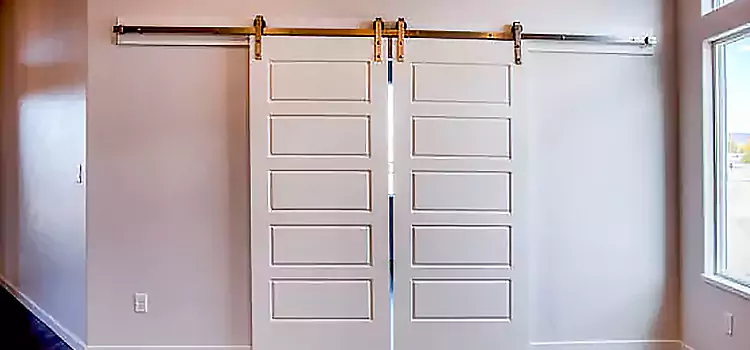 Glass Barn Door with Installation Hardware Kit McNair